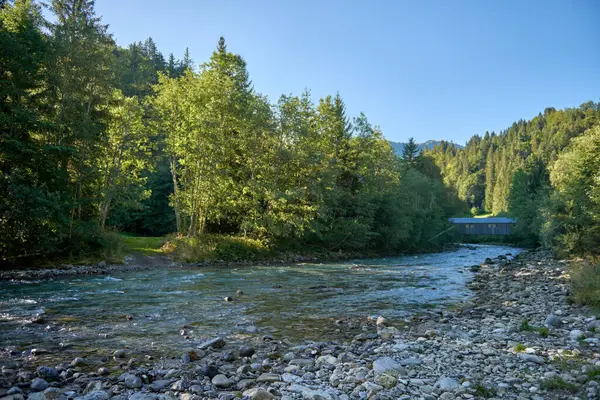 Stock image Alpine Oasis: A Mountain Rivers Journey through Rocky Shores and Forests. Summer Serenity Captured: Alpine River, Rocky Shores, and Towering Forests. Natures Symphony Defined: Mountain River, Spruce