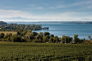Bodensee Panorama: Ufuk 'ta Alpler, Üzüm bağları ve Pastoral Güzellik. Alman kırsalındaki Bodensee, Üzüm bağları ve Antika Köyleri. Vineyard Vistas: Bodensee, Alpine Peaks ve