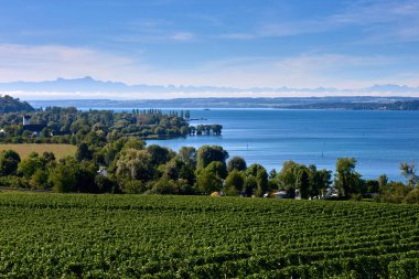 Bodensee Panorama: Ufuk 'ta Alpler, Üzüm bağları ve Pastoral Güzellik. Alman kırsalındaki Bodensee, Üzüm bağları ve Antika Köyleri. Vineyard Vistas: Bodensee, Alpine Peaks ve