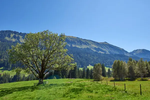 Dévoilement Symphonie Alpine Majesté Estivale Dans Désert Des Sommets Majestueux Images De Stock Libres De Droits