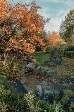 Sonbahar deresi ormanları, orman dağlarında güneşli sarı ağaçlar, yapraklar. Idyllic yürüyüş alanı, güzel mevsimsel sonbahar doğası. İnanılmaz rüya manzaralı renkli açık hava doğaya ilham veriyor.