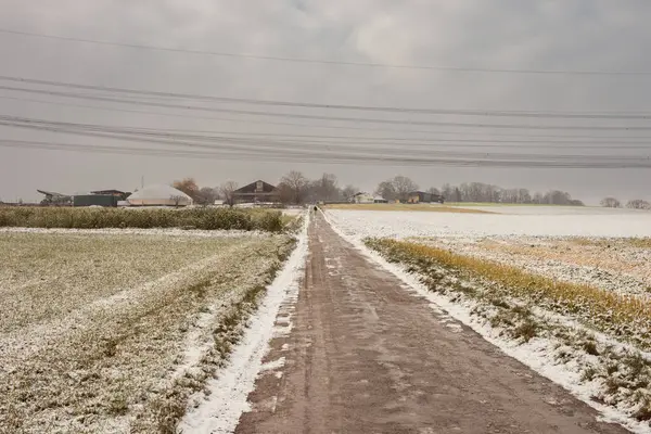 Kış Senfonisi Karla Kaplı Alanlar Kırsal Yollar Noel Keyfi Telifsiz Stok Fotoğraflar
