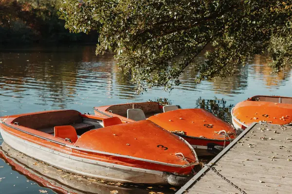 在城市公园码头的水边停泊了几艘有桨的船 以便在河流 湖泊或池塘上散步 图库照片