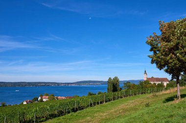Bodensee Panorama: Ufuk 'ta Alpler, Üzüm bağları ve Pastoral Güzellik. Alman kırsalındaki Bodensee, Üzüm bağları ve Antika Köyleri. Vineyard Vistas: Bodensee, Alpine Peaks ve