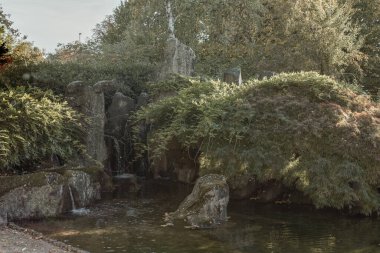 Sonbaharda parkta şelalesi olan Japon tarzı bahçeler. Japon su bahçesi. Japon yeşil bahçesinde akçaağaç ağaçları olan şelale. Londra, İngiltere 'de yeşil yaz Zen Gölü gölü suyu.