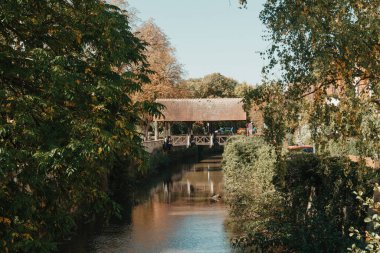 A wooden bridge in the park with and autumn colors of Bietigheim-Bissingen, Germany. Europe. Autumn landscape in nature. Autumn colors in the forest. autumn view with wooden bridge over stream in the clipart