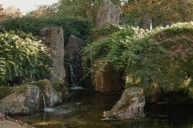 Güz mevsiminde güzel Japon Bahçesi ve kırmızı ağaçlar. Sonbahar rengi ve gölün yansımaları..