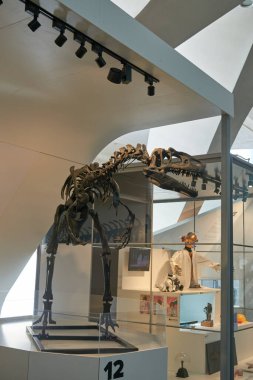 Awe-Inspiring Carnivorous Dinosaur Skeleton Towering in Natural History Museum Exhibit Captivates Visitors of All Ages. Majestic Prehistoric Predator Fossil Displayed in World-Renowned Paleontological clipart