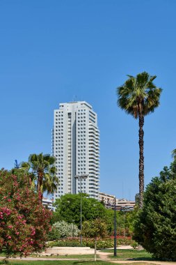 Tropik Şehir Cenneti Modern Mimari Egzotik Flora Palmiye Ağaçları Arasında Çiçek açan Pembe Çiçekler Valencia İspanya Yaz Kaçışı