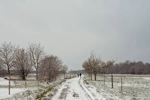 stock image Winter Symphony: Snow-Covered Fields, Rural Roads, and Christmas Delight