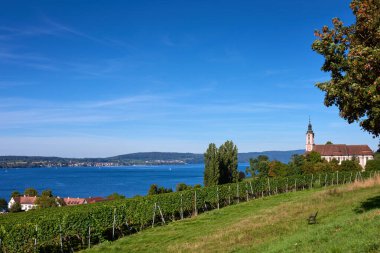 Bodensee Panorama: Ufuk 'ta Alpler, Üzüm bağları ve Pastoral Güzellik. Alman kırsalındaki Bodensee, Üzüm bağları ve Antika Köyleri. Vineyard Vistas: Bodensee, Alpine Peaks ve