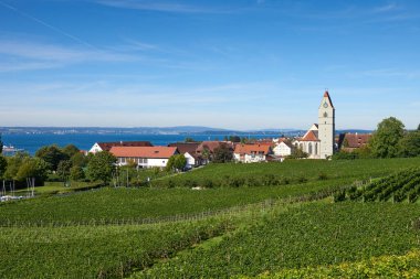 Bodensee Panorama: Ufuk 'ta Alpler, Üzüm bağları ve Pastoral Güzellik. Alman kırsalındaki Bodensee, Üzüm bağları ve Antika Köyleri. Vineyard Vistas: Bodensee, Alpine Peaks ve