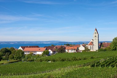 Bodensee Panorama: Ufuk 'ta Alpler, Üzüm bağları ve Pastoral Güzellik. Alman kırsalındaki Bodensee, Üzüm bağları ve Antika Köyleri. Vineyard Vistas: Bodensee, Alpine Peaks ve