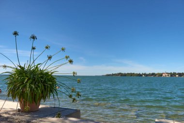 Almanya 'nın Picturesque Lindau kentindeki Bodensee kıyısında canlı çiçek tarhı. Idyllic Summer Peyzaj Gösterileri. Azure Sky ve Bereketli Yeşillik ile Avrupa Tatil Cenneti. Bu büyüleyici görüntü