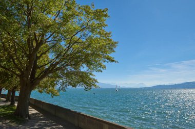 Lindau Showcasing White Yelkenlileri ve İsviçre Alpleri 'ndeki Bodensee' nin Ağaç Kemeri Arasından Görünümü. Idyllic Yaz Günü Avrupa Tatil Cenneti 'ni Denizcilik, Doğa ve Dağ Vistaları ile Ele Geçiriyor