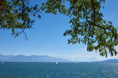 Lindau Showcasing White Yelkenlileri ve İsviçre Alpleri 'ndeki Bodensee' nin Ağaç Kemeri Arasından Görünümü. Idyllic Yaz Günü Avrupa Tatil Cenneti 'ni Denizcilik, Doğa ve Dağ Vistaları ile Ele Geçiriyor