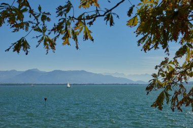 Lindau Showcasing White Yelkenlileri ve İsviçre Alpleri 'ndeki Bodensee' nin Ağaç Kemeri Arasından Görünümü. Idyllic Yaz Günü Avrupa Tatil Cenneti 'ni Denizcilik, Doğa ve Dağ Vistaları ile Ele Geçiriyor