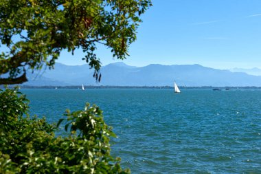 Lindau Showcasing White Yelkenlileri ve İsviçre Alpleri 'ndeki Bodensee' nin Ağaç Kemeri Arasından Görünümü. Idyllic Yaz Günü Avrupa Tatil Cenneti 'ni Denizcilik, Doğa ve Dağ Vistaları ile Ele Geçiriyor