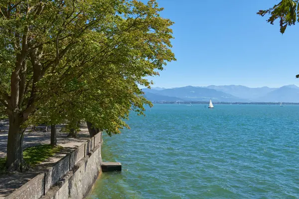 Lindau Showcasing White Yelkenlileri ve İsviçre Alpleri 'ndeki Bodensee' nin Ağaç Kemeri Arasından Görünümü. Idyllic Yaz Günü Avrupa Tatil Cenneti 'ni Denizcilik, Doğa ve Dağ Vistaları ile Ele Geçiriyor