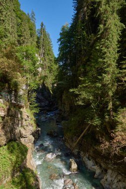 Dağ yamacı boyunca uzanan Manzaralı Yürüyüş Yolu ile Alp Vadisi Bozulmamış Dere ve Lush Vadisi. Serene Wilderness Manzarası Çevre dostu Çevre ve Çevre Uyumunu Yakalıyor