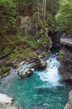 Dağ yamacı boyunca uzanan Manzaralı Yürüyüş Yolu ile Alp Vadisi Bozulmamış Dere ve Lush Vadisi. Serene Wilderness Manzarası Çevre dostu Çevre ve Çevre Uyumunu Yakalıyor