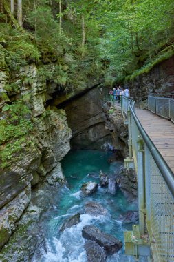 Dağ yamacı boyunca uzanan Manzaralı Yürüyüş Yolu ile Alp Vadisi Bozulmamış Dere ve Lush Vadisi. Serene Wilderness Manzarası Çevre dostu Çevre ve Çevre Uyumunu Yakalıyor