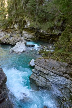Dağ yamacı boyunca uzanan Manzaralı Yürüyüş Yolu ile Alp Vadisi Bozulmamış Dere ve Lush Vadisi. Serene Wilderness Manzarası Çevre dostu Çevre ve Çevre Uyumunu Yakalıyor