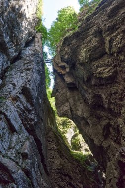Dağ yamacı boyunca uzanan Manzaralı Yürüyüş Yolu ile Alp Vadisi Bozulmamış Dere ve Lush Vadisi. Serene Wilderness Manzarası Çevre dostu Çevre ve Çevre Uyumunu Yakalıyor