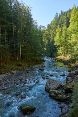 Bu büyüleyici görüntü, nefes kesen bir Alp Vadisi 'nde kıvrılan kristal berraklığında bir dağ akıntısını gösteriyor. Ön planda kayalık bir nehir yatağı var. Altında pürüzsüz, su aşınmış taşlar var.
