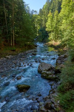Bu büyüleyici görüntü, nefes kesen bir Alp Vadisi 'nde kıvrılan kristal berraklığında bir dağ akıntısını gösteriyor. Ön planda kayalık bir nehir yatağı var. Altında pürüzsüz, su aşınmış taşlar var.