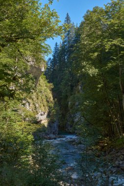 Bu büyüleyici görüntü, nefes kesen bir Alp Vadisi 'nde kıvrılan kristal berraklığında bir dağ akıntısını gösteriyor. Ön planda kayalık bir nehir yatağı var. Altında pürüzsüz, su aşınmış taşlar var.
