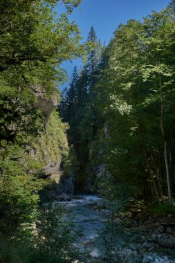 Bu büyüleyici görüntü, nefes kesen bir Alp Vadisi 'nde kıvrılan kristal berraklığında bir dağ akıntısını gösteriyor. Ön planda kayalık bir nehir yatağı var. Altında pürüzsüz, su aşınmış taşlar var.