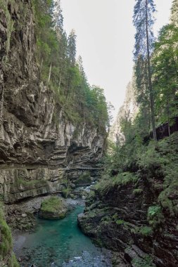 Dağ yamacı boyunca uzanan Manzaralı Yürüyüş Yolu ile Alp Vadisi Bozulmamış Dere ve Lush Vadisi. Serene Wilderness Manzarası Çevre dostu Çevre ve Çevre Uyumunu Yakalıyor