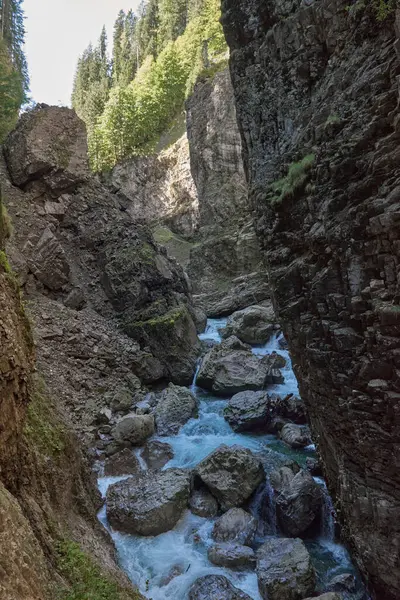 Dağ yamacı boyunca uzanan Manzaralı Yürüyüş Yolu ile Alp Vadisi Bozulmamış Dere ve Lush Vadisi. Serene Wilderness Manzarası Çevre dostu Çevre ve Çevre Uyumunu Yakalıyor