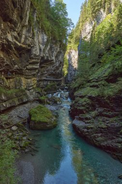 Dağ yamacı boyunca uzanan Manzaralı Yürüyüş Yolu ile Alp Vadisi Bozulmamış Dere ve Lush Vadisi. Serene Wilderness Manzarası Çevre dostu Çevre ve Çevre Uyumunu Yakalıyor