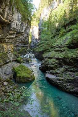 Dağ yamacı boyunca uzanan Manzaralı Yürüyüş Yolu ile Alp Vadisi Bozulmamış Dere ve Lush Vadisi. Serene Wilderness Manzarası Çevre dostu Çevre ve Çevre Uyumunu Yakalıyor