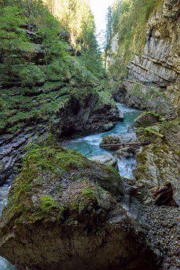 Dağ yamacı boyunca uzanan Manzaralı Yürüyüş Yolu ile Alp Vadisi Bozulmamış Dere ve Lush Vadisi. Serene Wilderness Manzarası Çevre dostu Çevre ve Çevre Uyumunu Yakalıyor