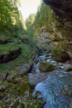 Dağ yamacı boyunca uzanan Manzaralı Yürüyüş Yolu ile Alp Vadisi Bozulmamış Dere ve Lush Vadisi. Serene Wilderness Manzarası Çevre dostu Çevre ve Çevre Uyumunu Yakalıyor