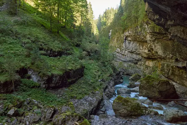 Dağ yamacı boyunca uzanan Manzaralı Yürüyüş Yolu ile Alp Vadisi Bozulmamış Dere ve Lush Vadisi. Serene Wilderness Manzarası Çevre dostu Çevre ve Çevre Uyumunu Yakalıyor