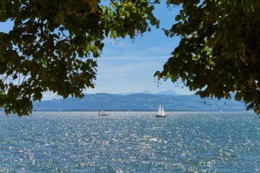 Lindau Showcasing White Yelkenlileri ve İsviçre Alpleri 'ndeki Bodensee' nin Ağaç Kemeri Arasından Görünümü. Idyllic Yaz Günü Avrupa Tatil Cenneti 'ni Denizcilik, Doğa ve Dağ Vistaları ile Ele Geçiriyor