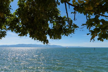 Lindau Showcasing White Yelkenlileri ve İsviçre Alpleri 'ndeki Bodensee' nin Ağaç Kemeri Arasından Görünümü. Idyllic Yaz Günü Avrupa Tatil Cenneti 'ni Denizcilik, Doğa ve Dağ Vistaları ile Ele Geçiriyor
