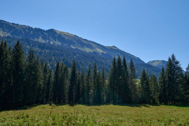 Yeşil Orman ve Mavi Yaz Gökyüzü ile Huzurlu Dağ Vadisi üzerinde Görkemli Alp Dağları manzarası. Vahşi otlakları ve dağlık tepeleri olan doğal dağ manzaralı bir panorama. Güzel