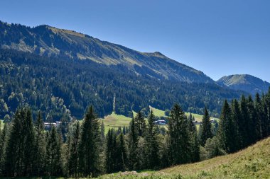 Gök mavisi, yemyeşil yemyeşil ormanlar ve sakin otlakların yer aldığı sakin bir dağ manzarasının güzelliğini deneyimleyin. Bu canlı yaz manzarası doğanın uyumu ile çam ağacını yakalar.