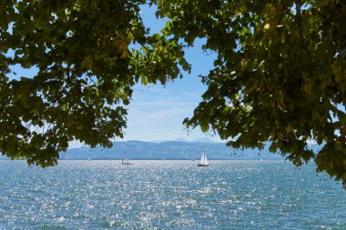 Lindau Showcasing White Yelkenlileri ve İsviçre Alpleri 'ndeki Bodensee' nin Ağaç Kemeri Arasından Görünümü. Idyllic Yaz Günü Avrupa Tatil Cenneti 'ni Denizcilik, Doğa ve Dağ Vistaları ile Ele Geçiriyor