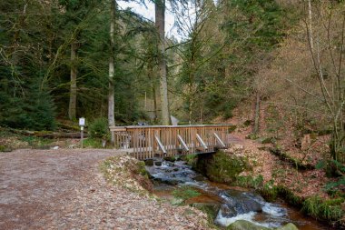 Alman Kara Orman Ulusal Parkı 'nın en değerli mücevheri olan Allerheiligen Şelaleleri' nin hayranlık uyandıran güzelliğini tecrübe edin. Bu muhteşem şelale, Kuzey 'deki en büyük doğal şelale.