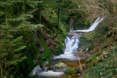 Alman Kara Orman Ulusal Parkı 'nın en değerli mücevheri olan Allerheiligen Şelaleleri' nin hayranlık uyandıran güzelliğini tecrübe edin. Bu muhteşem şelale, Kuzey 'deki en büyük doğal şelale.