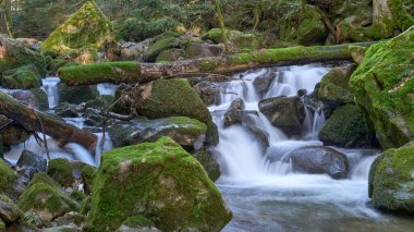 Alman Kara Orman Ulusal Parkı 'nın en değerli mücevheri olan Allerheiligen Şelaleleri' nin hayranlık uyandıran güzelliğini tecrübe edin. Bu muhteşem şelale, Kuzey 'deki en büyük doğal şelale.