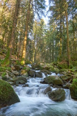 Alman Kara Orman Ulusal Parkı 'nın en değerli mücevheri olan Allerheiligen Şelaleleri' nin hayranlık uyandıran güzelliğini tecrübe edin. Bu muhteşem şelale, Kuzey 'deki en büyük doğal şelale.