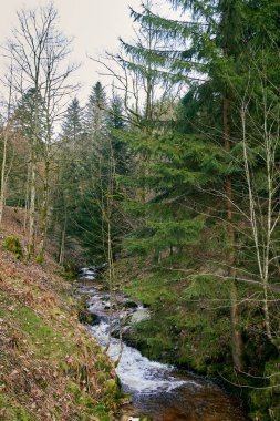 Experience the awe-inspiring beauty of the Allerheiligen Waterfalls, a crown jewel of Germanys Black Forest National Park. This magnificent waterfall, the largest natural cascade in the Northern clipart