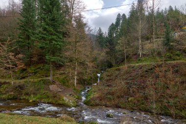 Atmosferik orman sahnesinde yosun kaplı kayaların üzerinden akan beyaz su çağlayanlarıyla birlikte akan dağ dereleri görülüyor. Tahta merdiven ve güvenlik korkulukları şelale yolu boyunca yürüyüş imkanı sağlıyor.